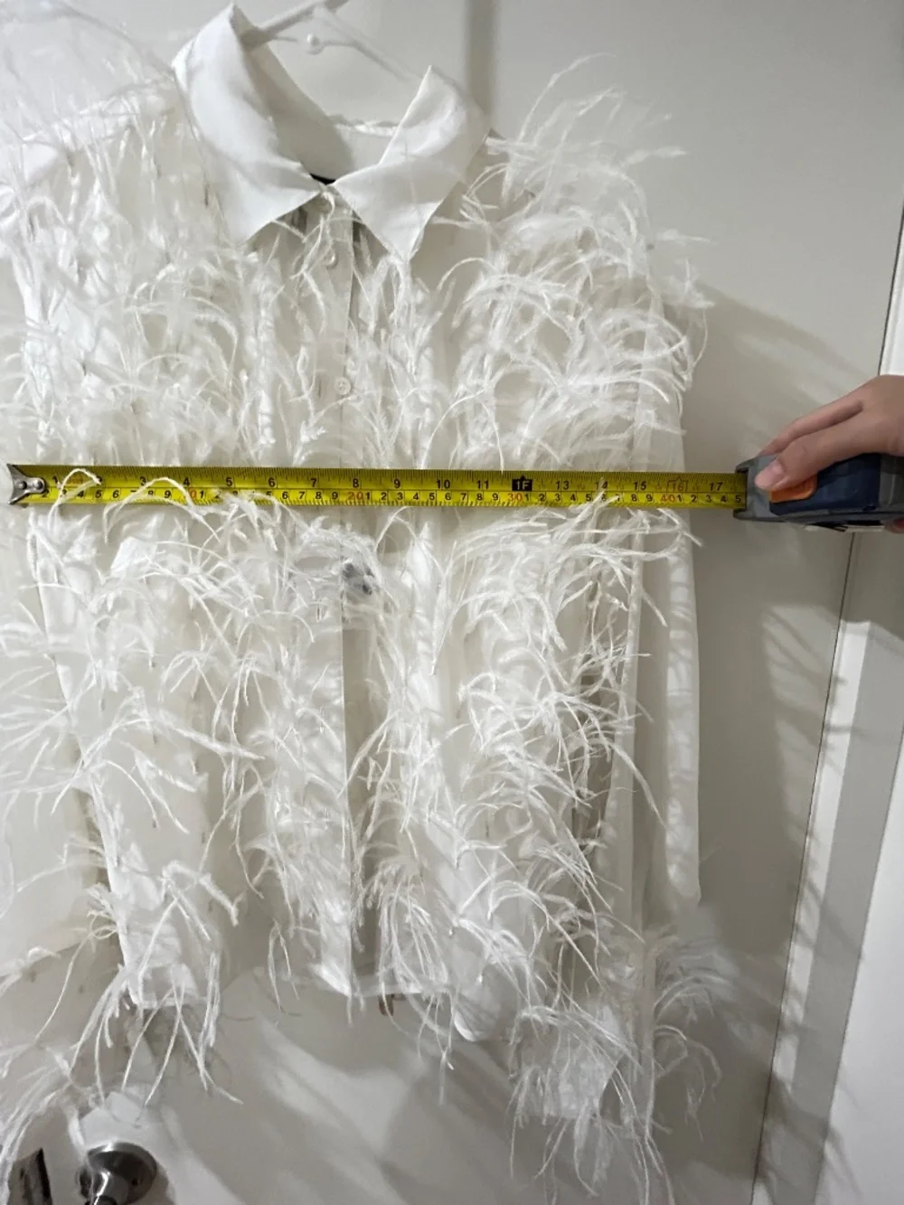 Jcrew collection organza button up shirt with feathers